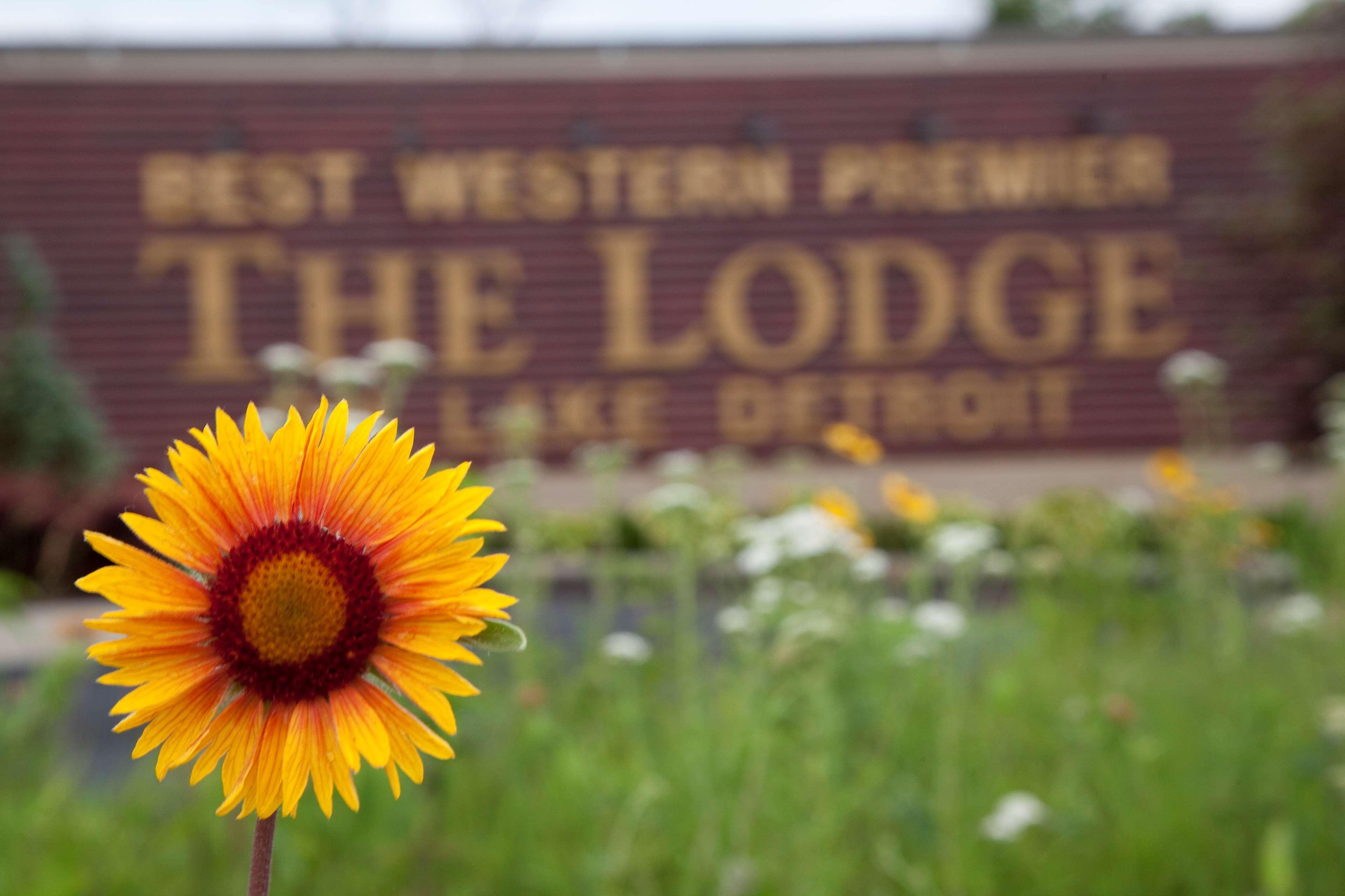 Best Western Premier The Lodge On Lake Detroit Detroit Lakes Exteriér fotografie